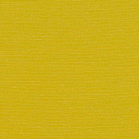 Avocado 122-2092
