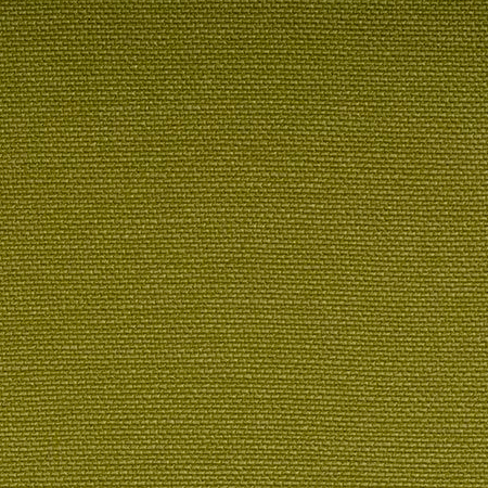 Celery 122-5019