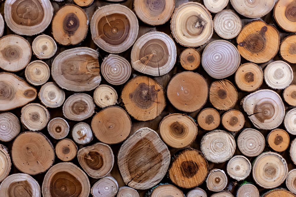 Wood species and their unique qualities