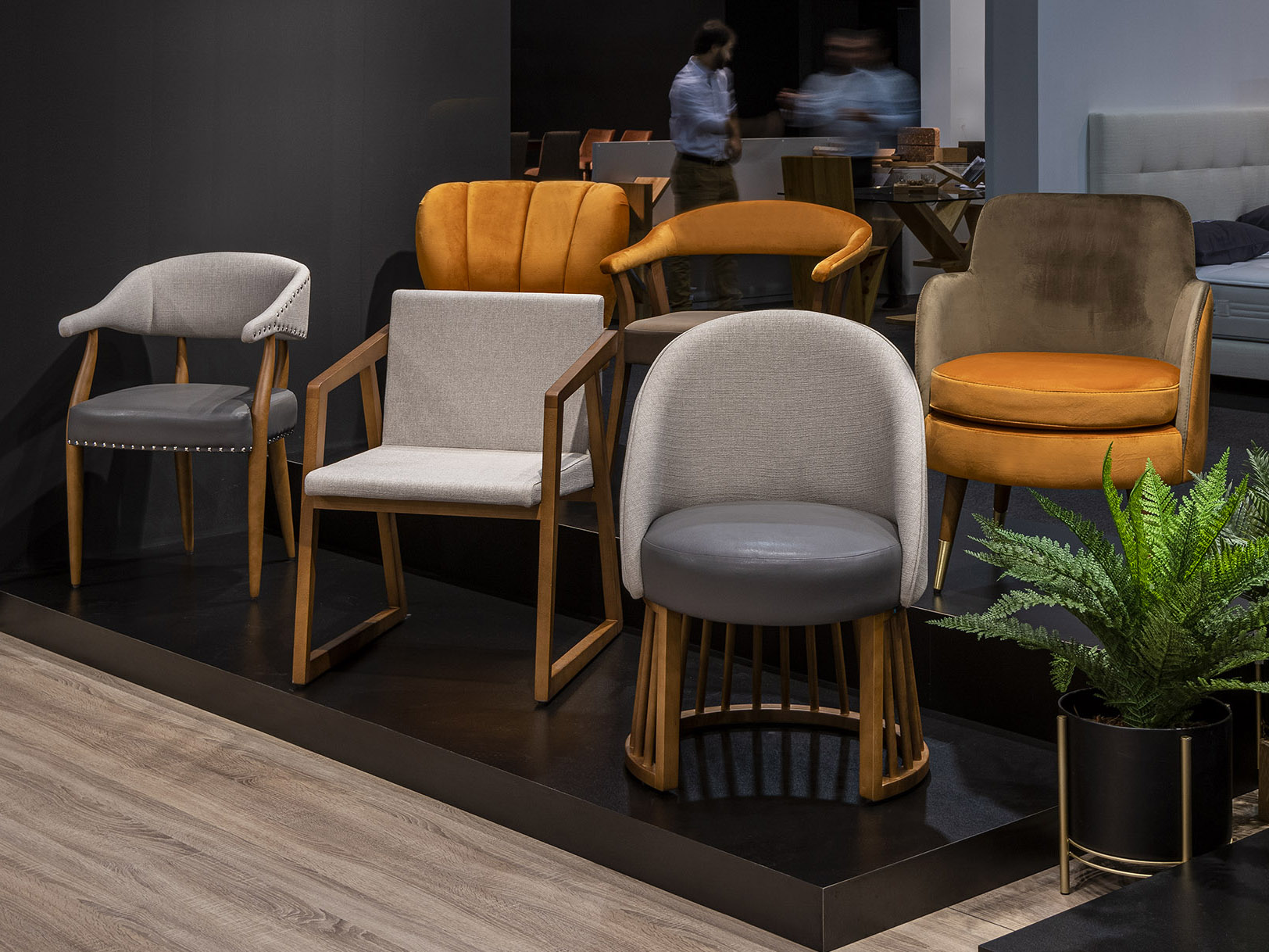 Valencia 2019 - Habitat