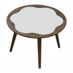 Newton Table
